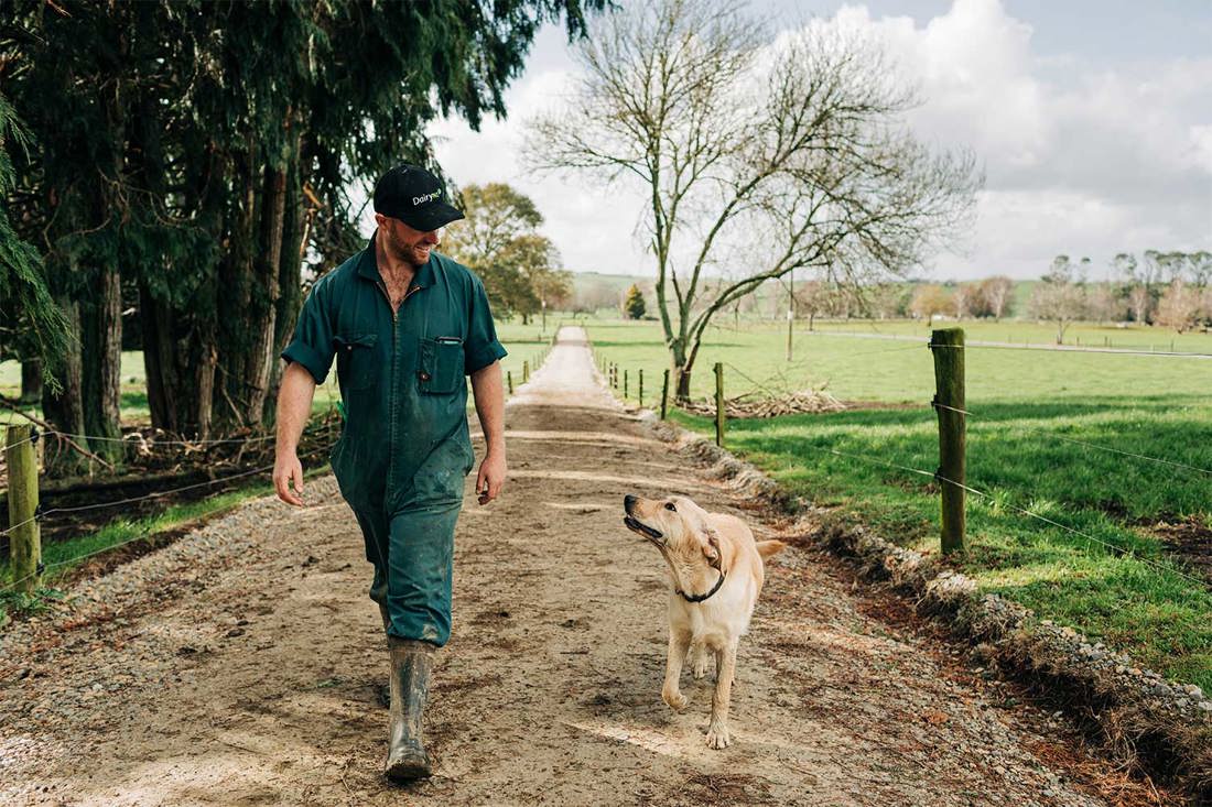 Finding The Right Role Dairy Farmer And His Dog 1500X1000
