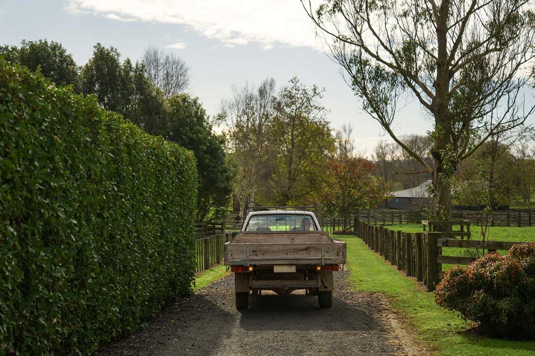 A ute driving down a farm track.