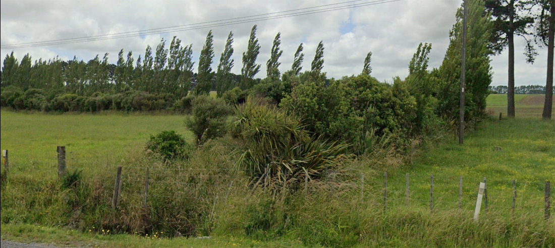 Riparian Panting Manawatu Hastings Image4 1300X582