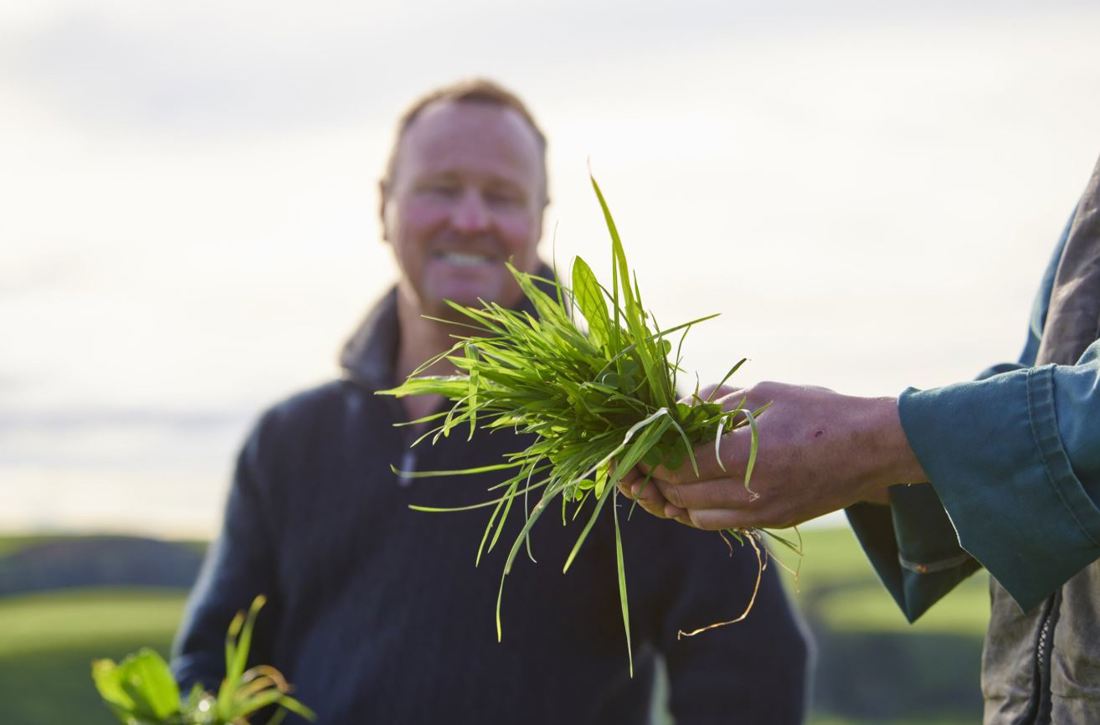 Spring Smarts Spring Grazing Tip
