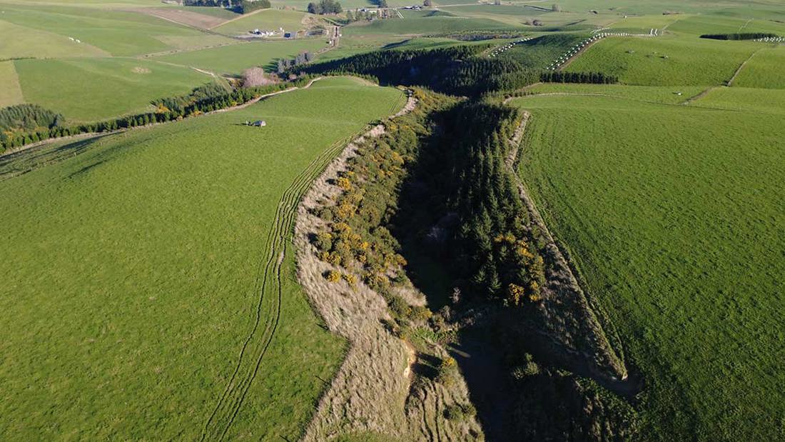 Bodle Pine Planting In Gully1200x675