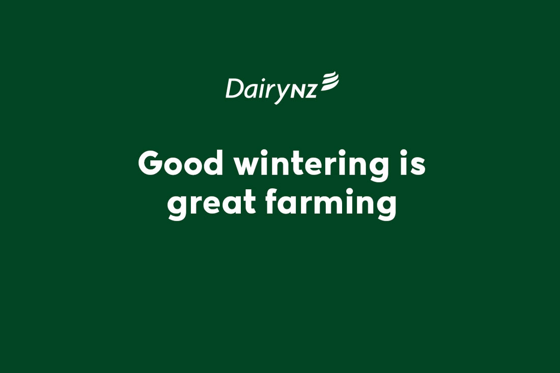Good winter grazing is great farming.