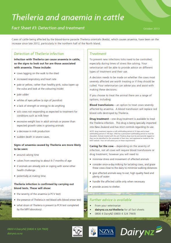Theileria Factsheet 3 Image