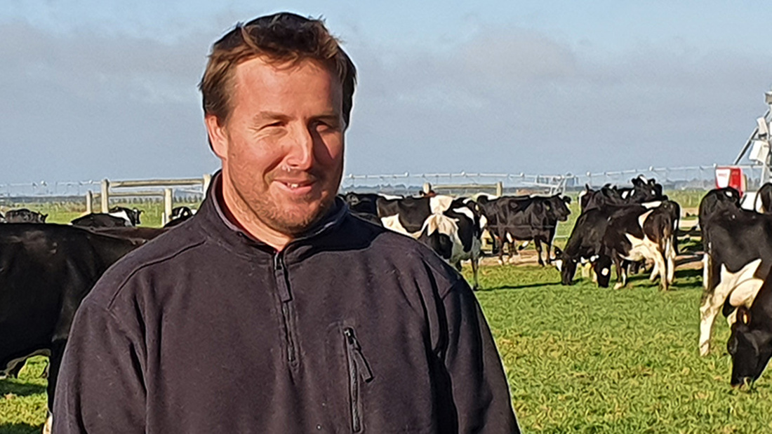 A man standing in a field with cows around him