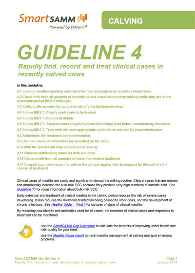 Guideline 4