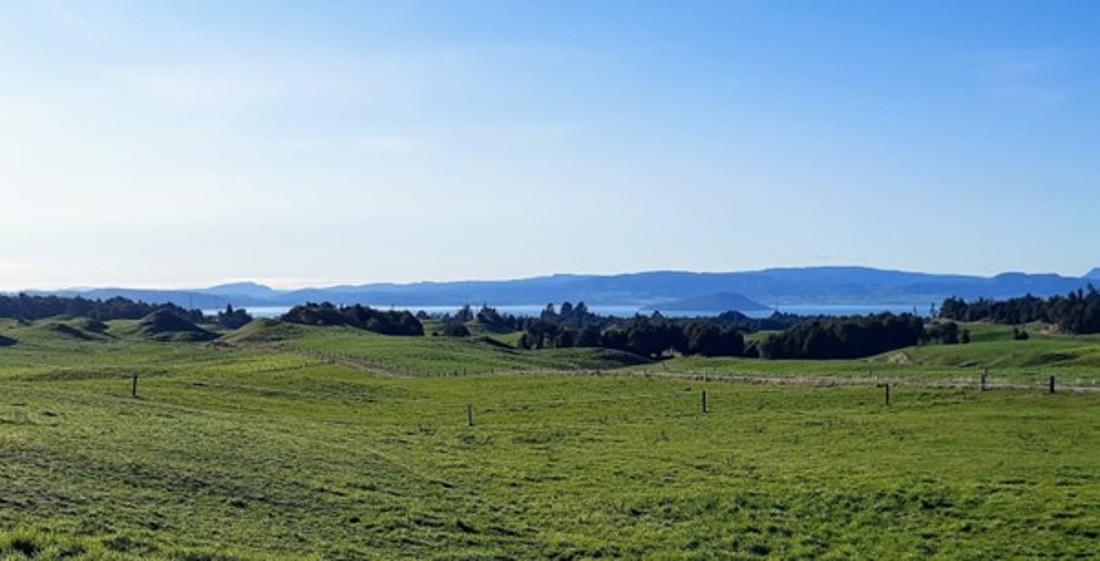 Steve And Paula Holdem Farm Rotorua