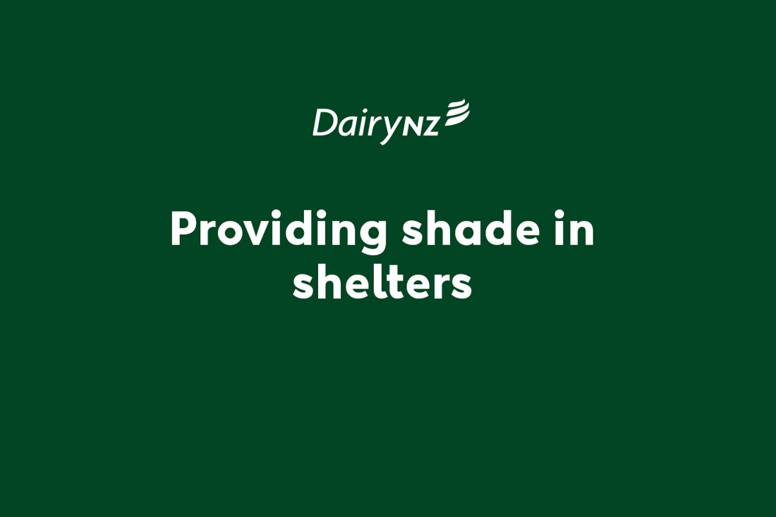 Providing Shade In Shelters Video Placeholder Image