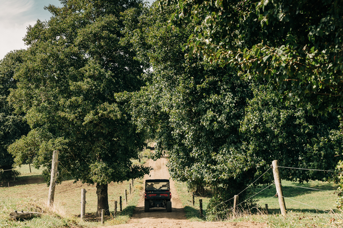 A dairy farmer in a 4 wheel drive vehicle, driving down a farm track lined with trees on a sunny day.