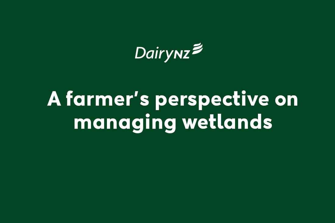 A Farmers Perspective On Managing Wetlands Video Placeholder Image