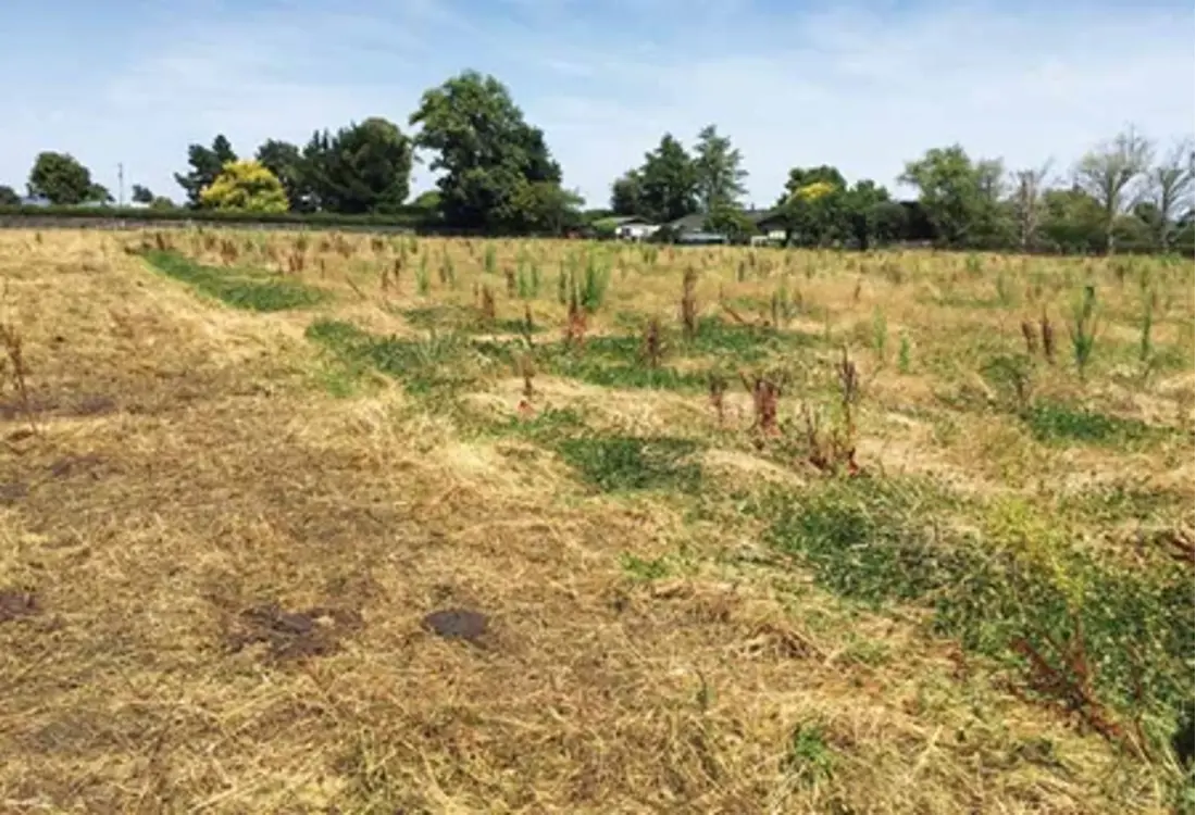 Grazing Breakline