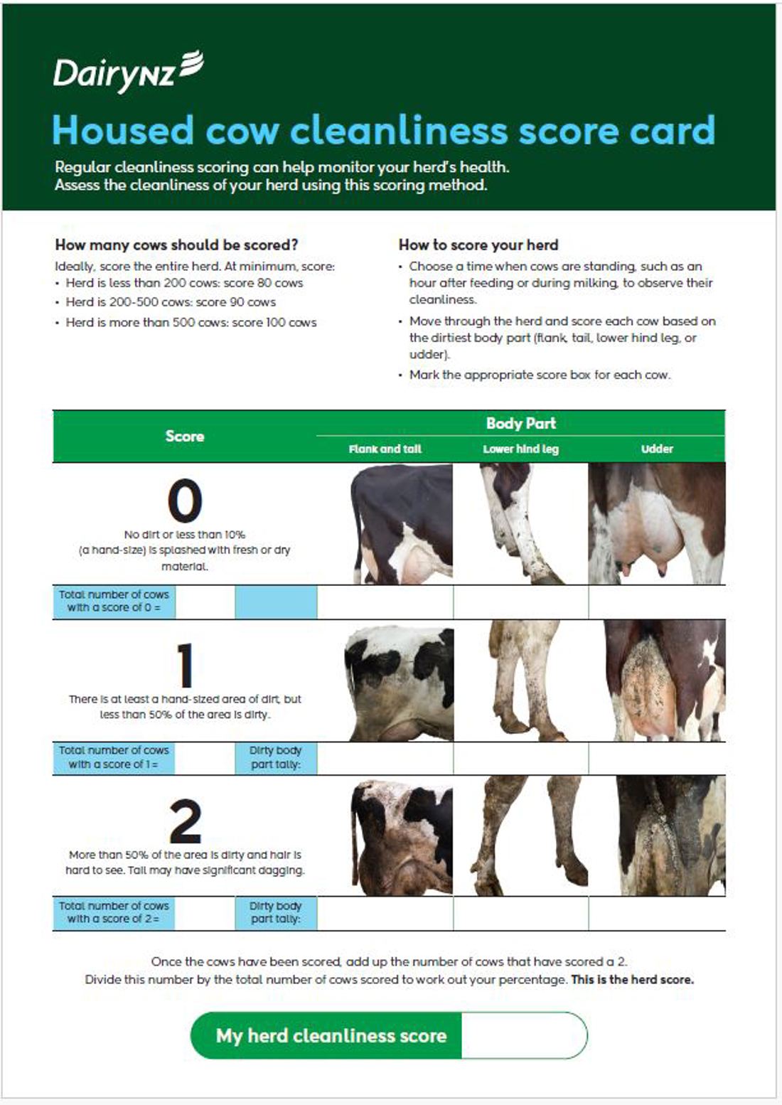 Housed Cow Cleanliness Scorecard Image