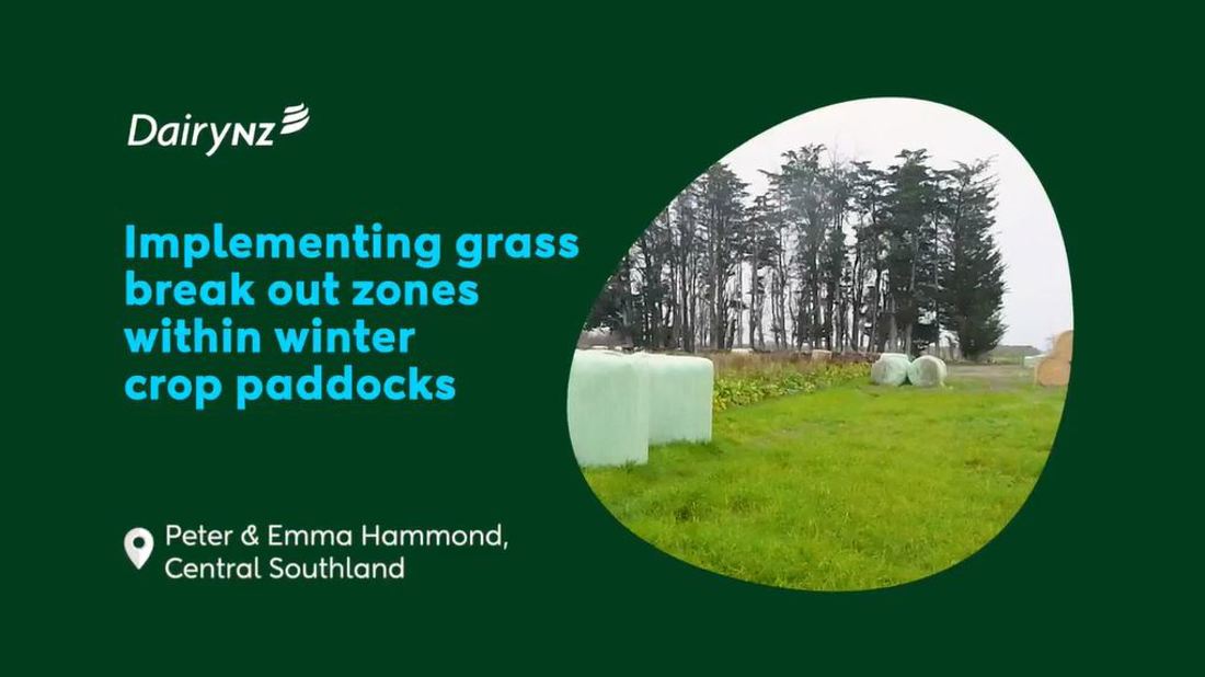 Implementing Grass Breakout Zones Within Winter Crop Paddocks Video Placeholder Image (1)