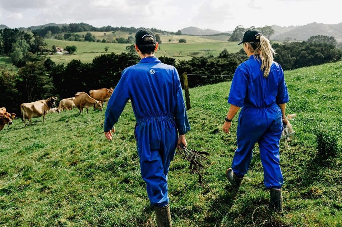 Hiring Process Select The Right Person