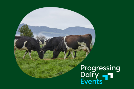 PDE Homegrown Feed