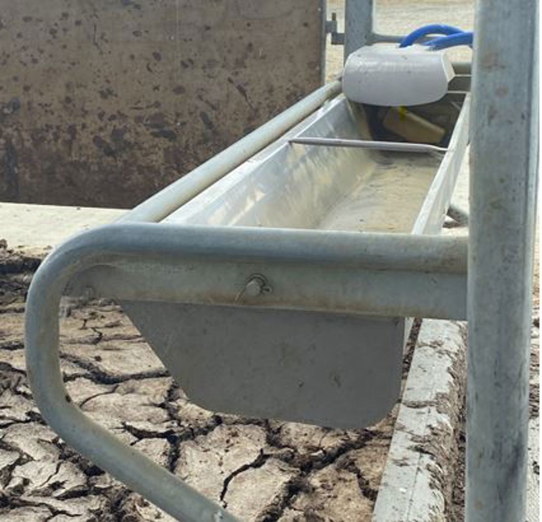 Off Paddock Investment Feeding Tipping Trough Accessed From Loafing Area