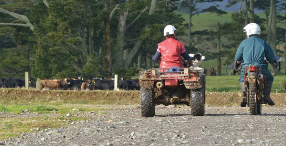 waste-management-solutions-2