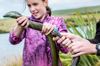 Riparian Planting Eel Image 4