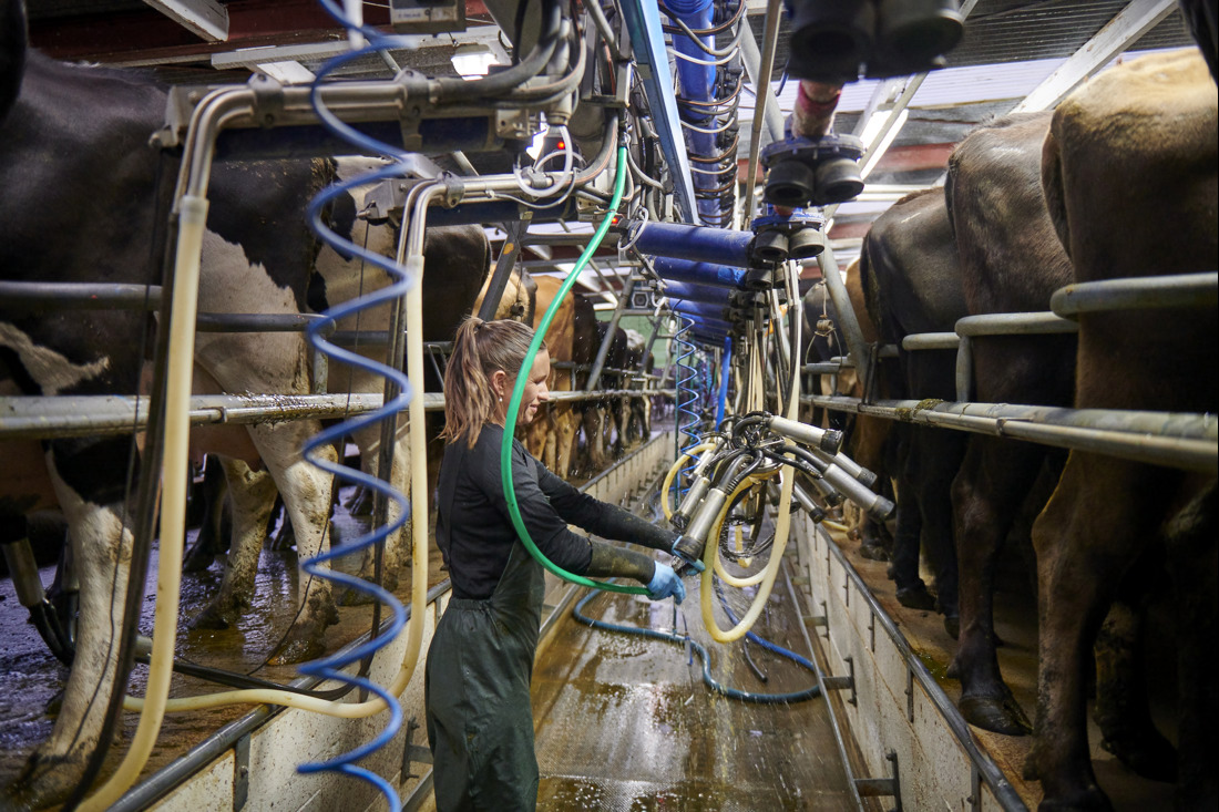 Inside Dairy Aug Oct 2025 How New Zealand Became Worlds Lowest Cost Milk Producer Hero Image