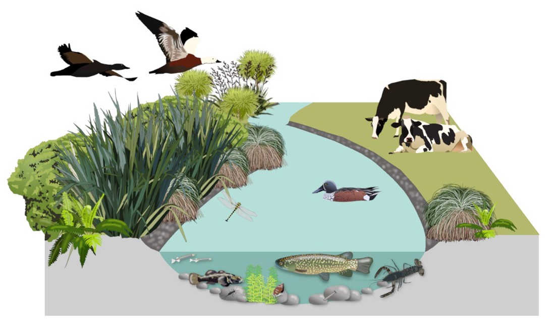 Edna Image River Scene Only (1) (1)