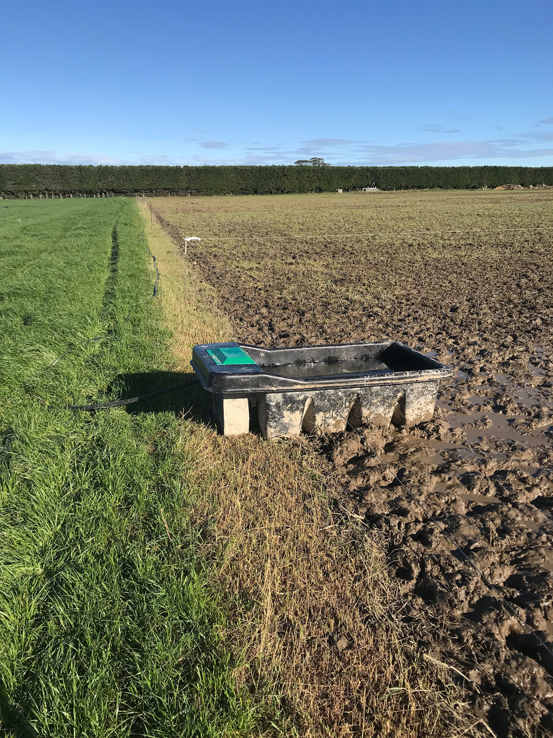 Portable trough setup using a trailor during winter grazing