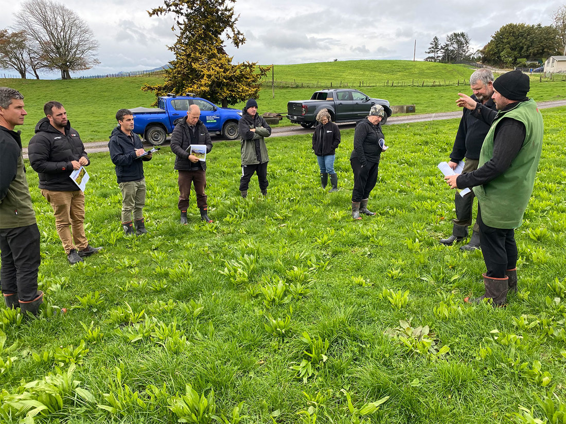 Plantain People In Circle 1500X1125