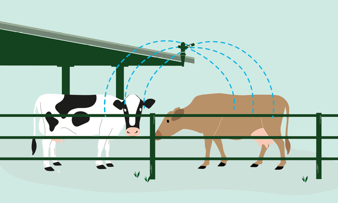 Heatstress Illustration 3