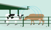 Heatstress Illustration 3