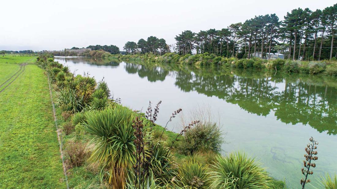 Riparian Waterway 1500Wide