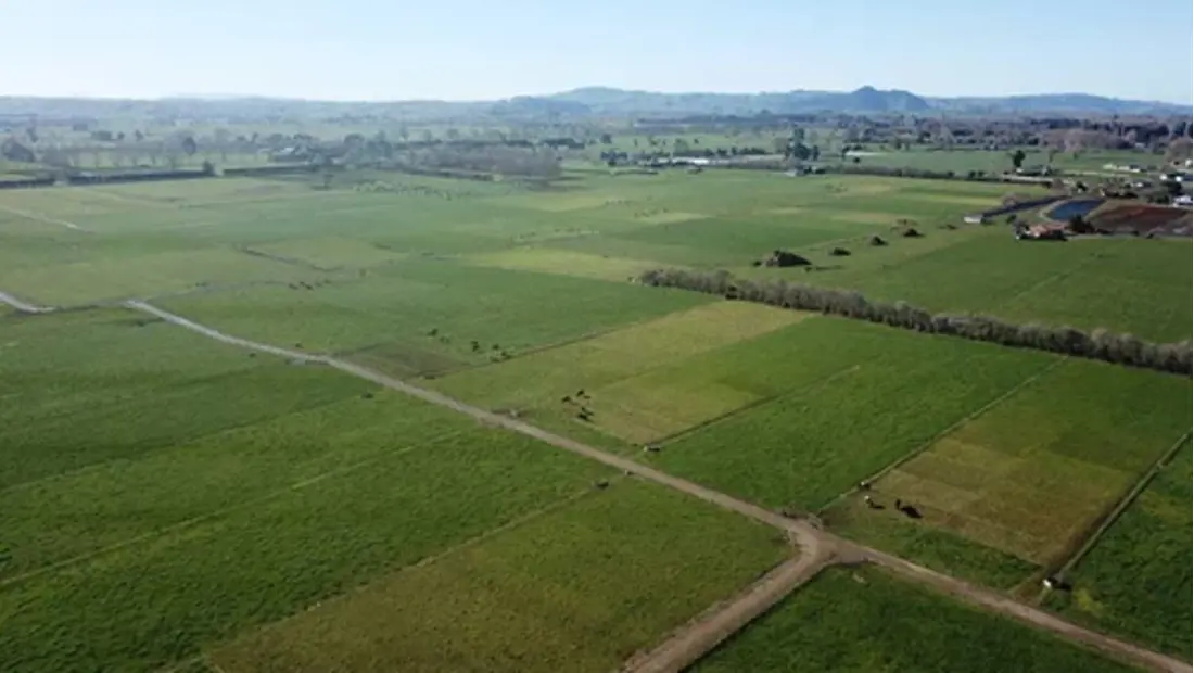 An aerial shot of an open field