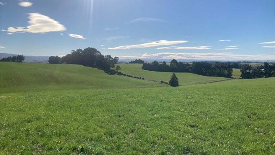 a farm field