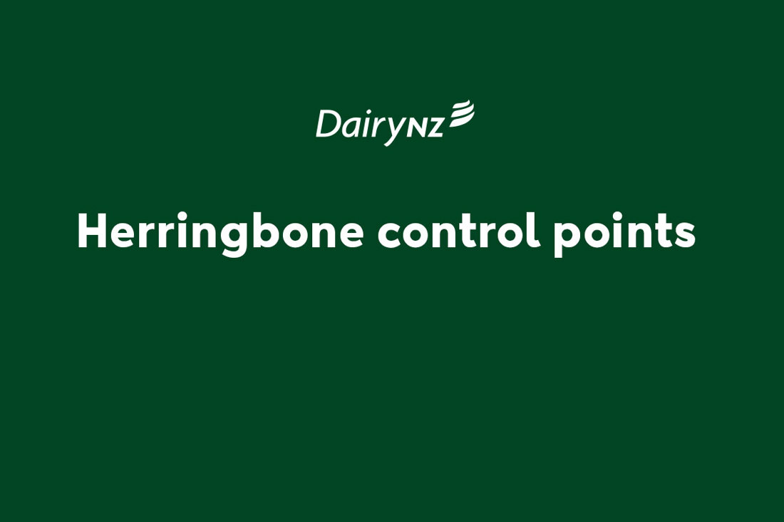 Herringbone Control Points Video Placeholder Image