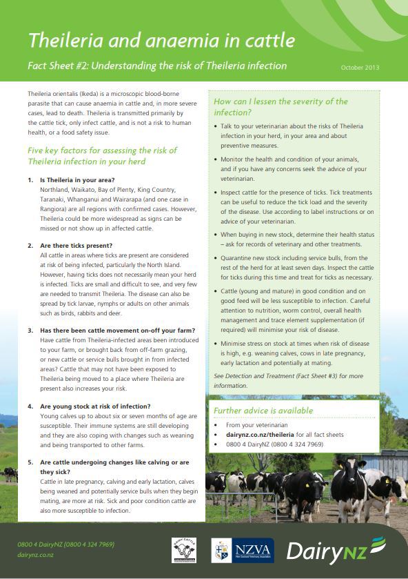Theileria Factsheet 2 Image