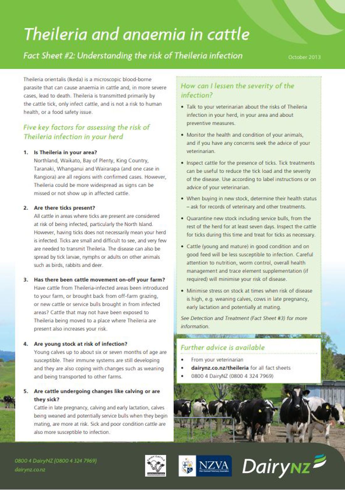 Theileria Factsheet 2 Image