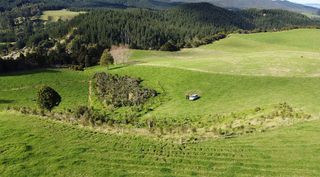 Restoring Wetlands In Northland Collins Image3 1300X720