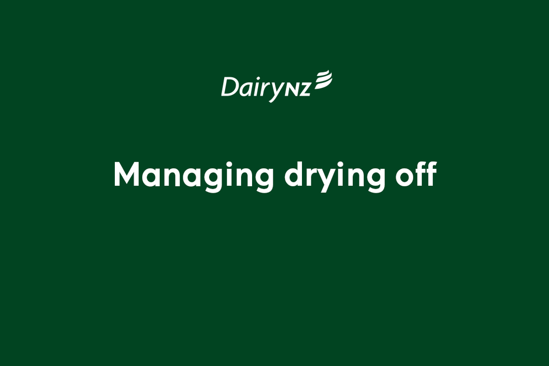Managing Drying Off