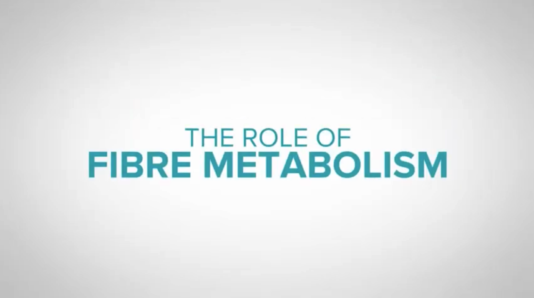 Fibre Metabolism Thumb
