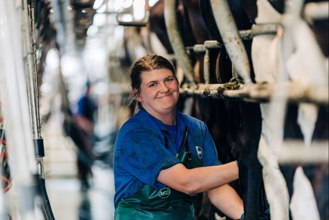 New To Farming Milking Tips For Beginners Image