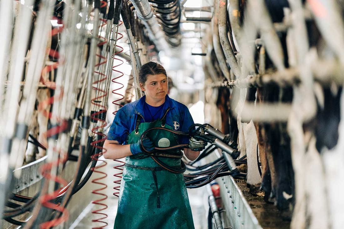 First Steps Towards Dairying Useful Skills 1500X1000