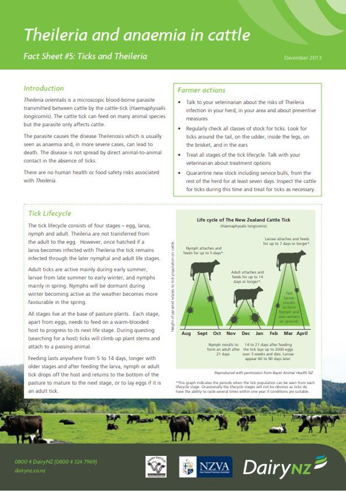 Theileria Factsheet 5 Image
