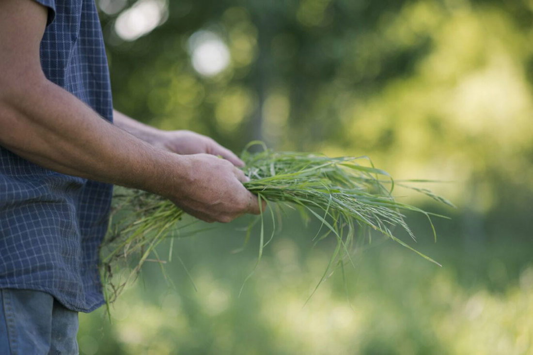 Rural Professionals Hub Agronomist Listing Image