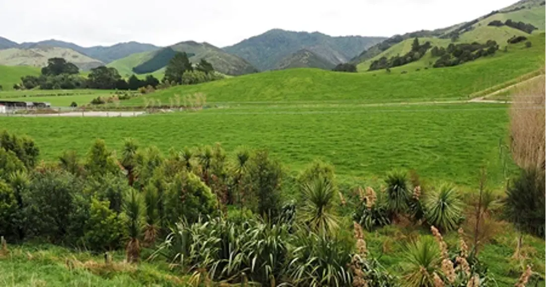 a green field with trees and mountains in the background