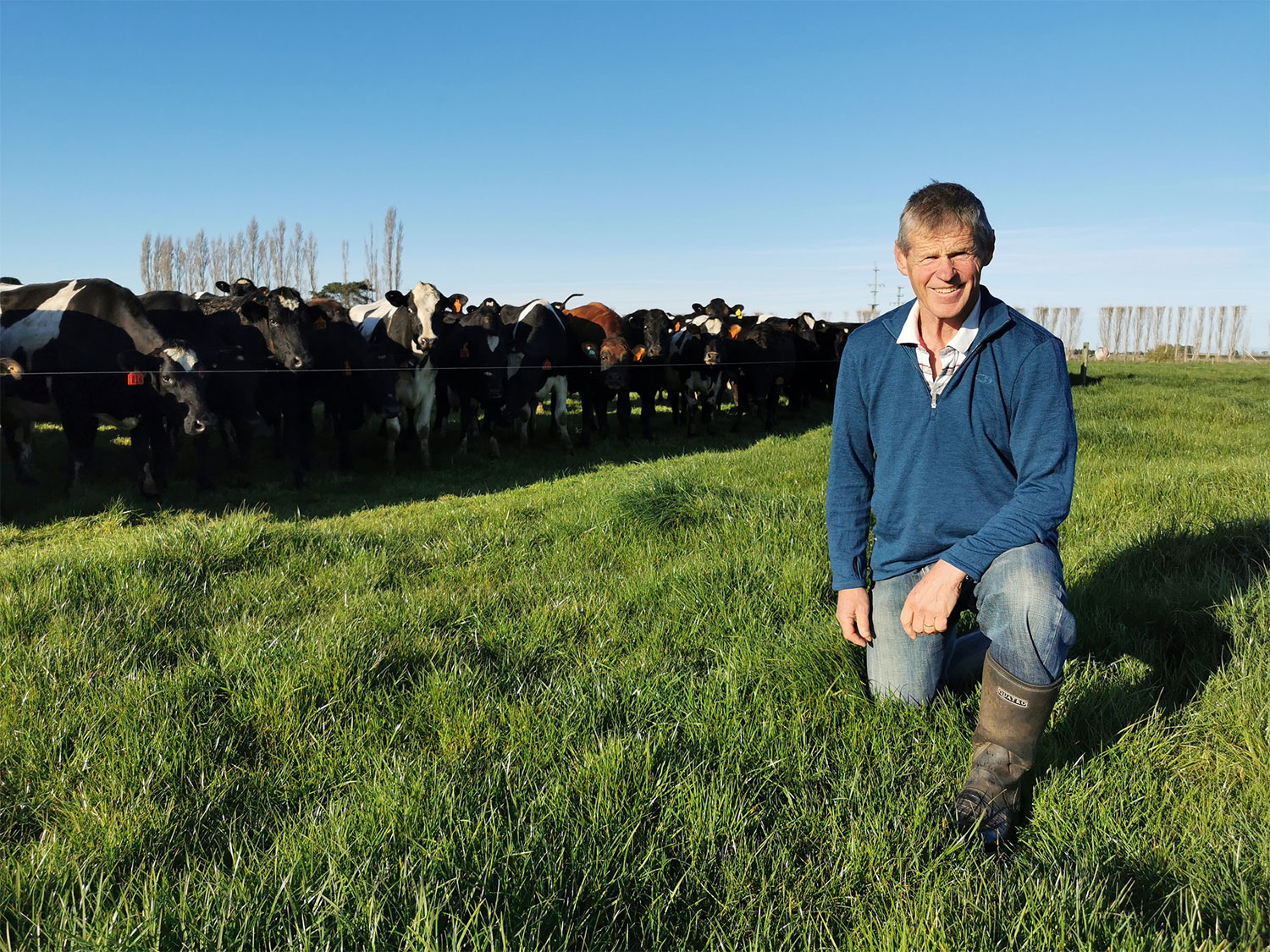 DairyNZ programme helps Canterbury dairy farmers achieve nitrogen