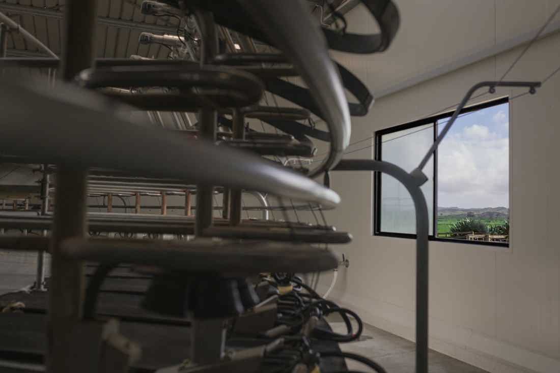 Abstract image of the inside of a rotary milking platform on a dairy farm