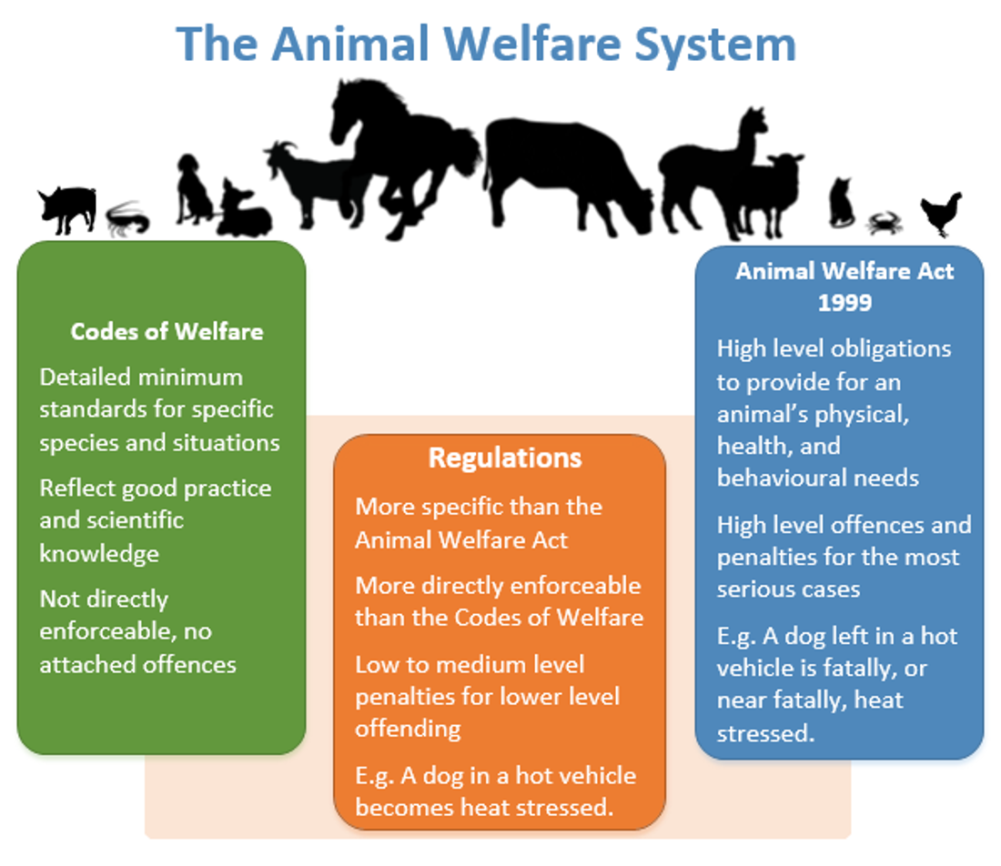 Animal Welfare System
