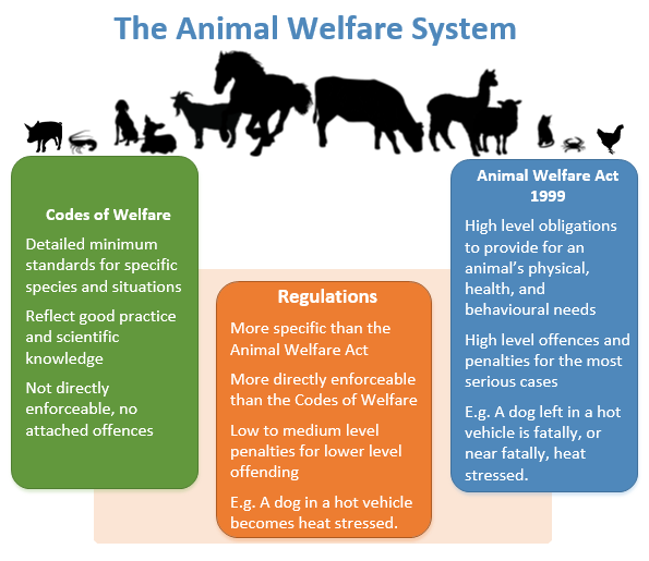 Animal Welfare System