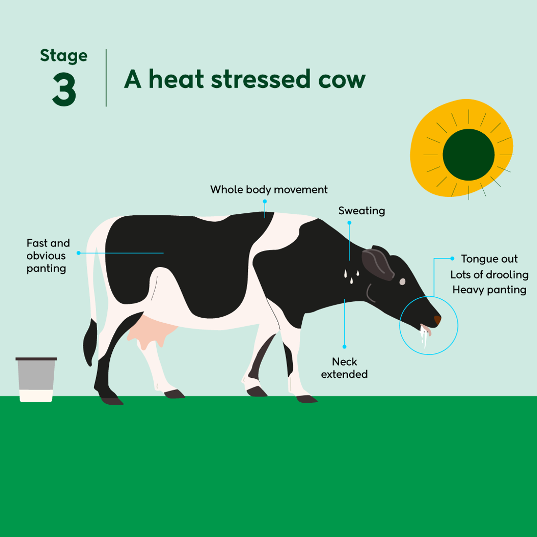 Heat Stress S3 Square