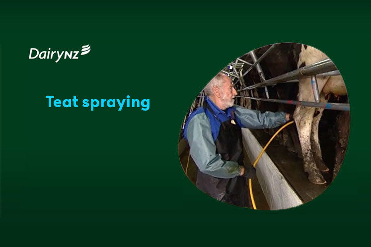 Teat Spraying Video Placeholder Image