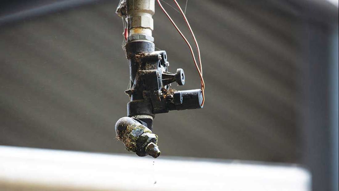 Milking Shakeup Improves Efficiency Inside Dairy October 2019 Pod8