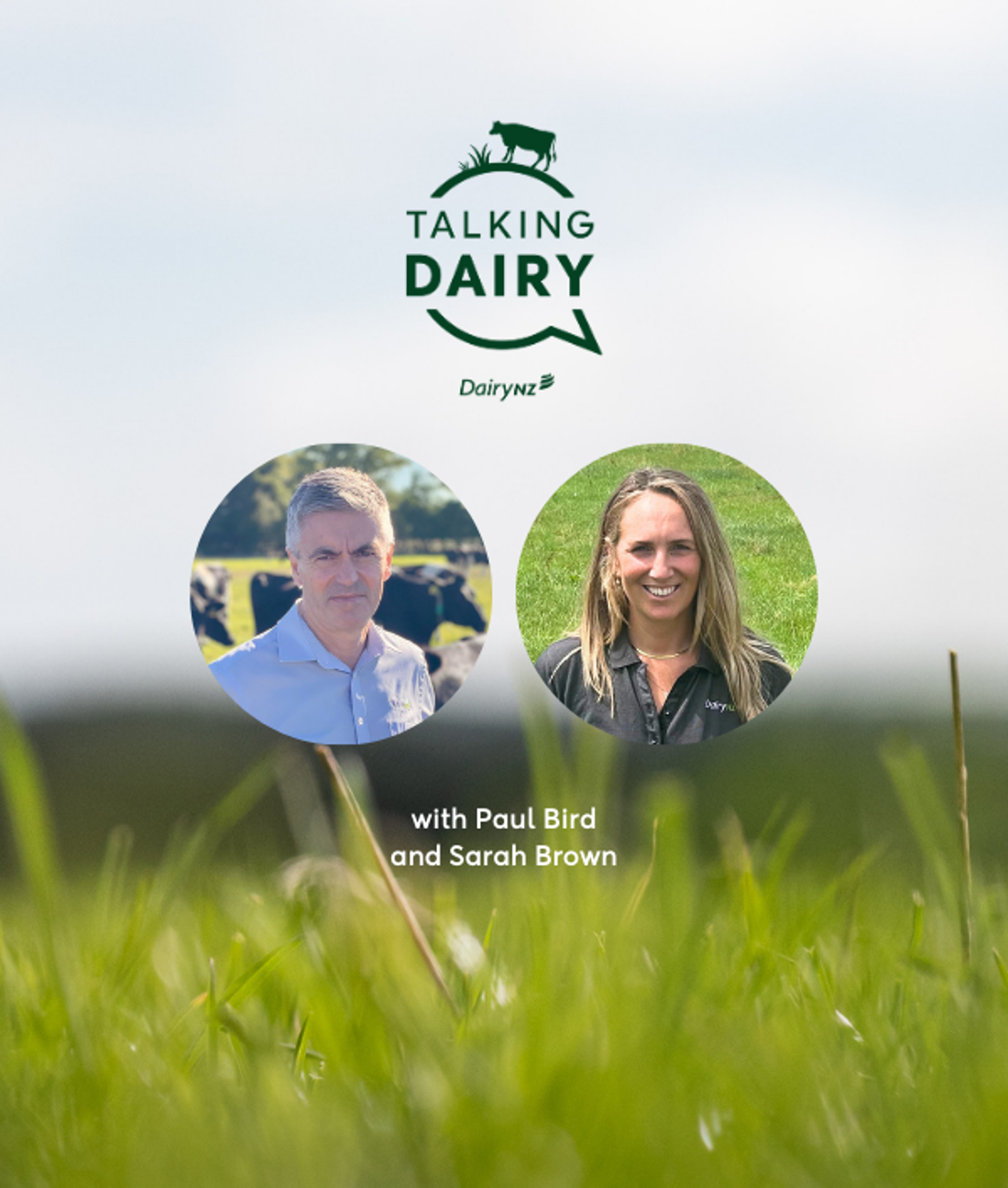 Ep 119 What's New Carousel