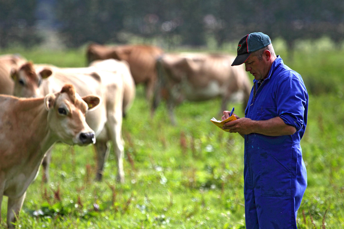 Rural Professionals Hub Breeding Advisors Bcs Image